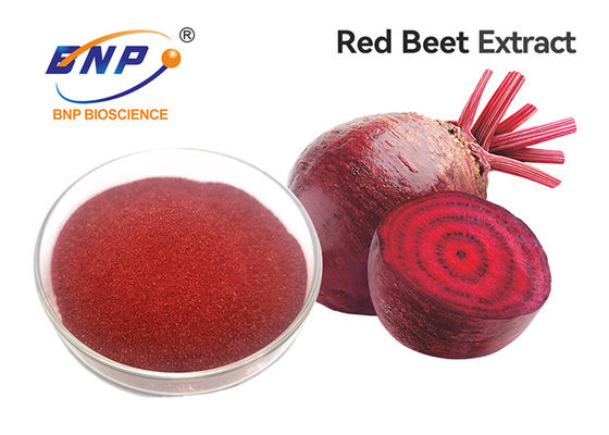 Extrait naturel pourpre de racine de betterave rouge du supplément 100% de poudre de fruits et légumes