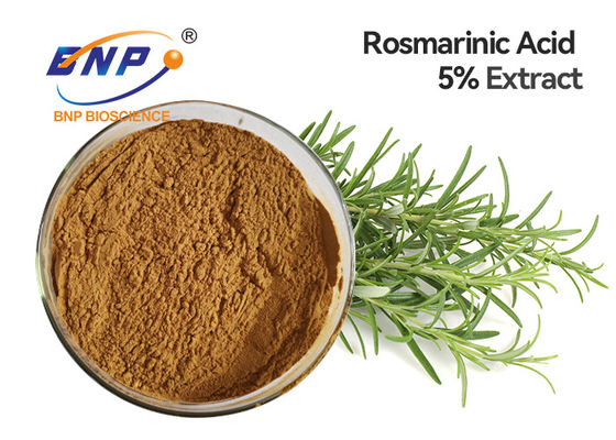 GMP Rosemary Extract de haute qualité avec 5% Carnosic acide et Carnosol