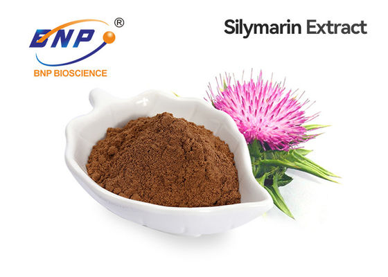 Le chardon de lait antioxydant portent des fruits Silybum Marianum de l'extrait 30% Silybin 80% Silymarin