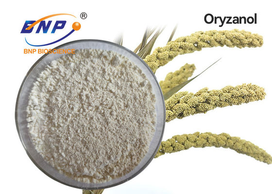 CAS No. 11042-64-1 poudre gamma cristalline blanche d'Oryzanol d'extraits naturels d'usine