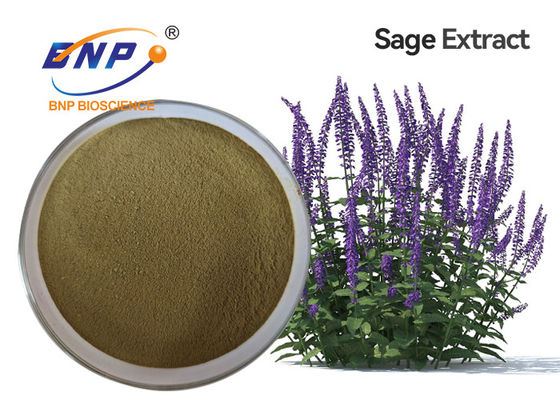 Extrait de Supply Sage Extract Powder Clary Sage de fabricant