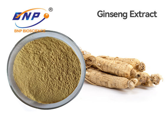 Ginseng Ca Meyer Natural Plant Extracts Ginsenoside de Panax 5%