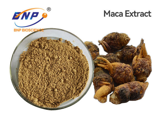 L'usine naturelle de Meyenii de Lepidium extrait la poudre organique brun clair de racine de Maca