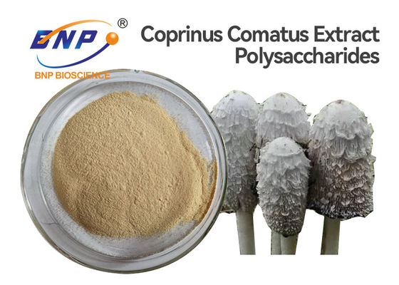 L'extrait UV de champignon d'essai saupoudrent le Coprinus libre Comatus de GMO