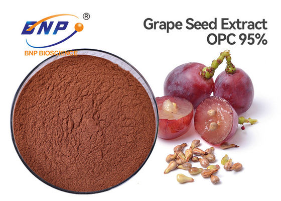 Soin organique rouge-brun de cosmétiques du polyphénol 95% d'extrait de graine de raisin