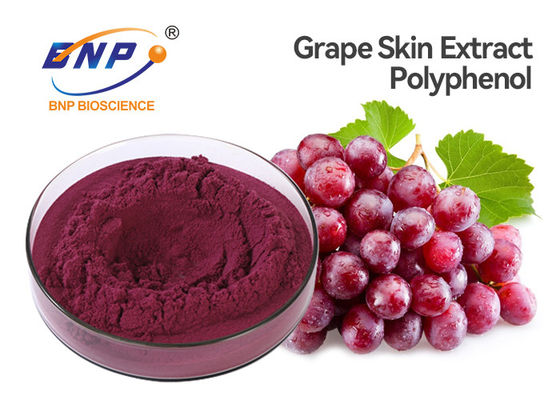 Nigra L. de Sambucus Vitis vinifera d'extrait de peau de raisin rouge de polyphénol de 20%.