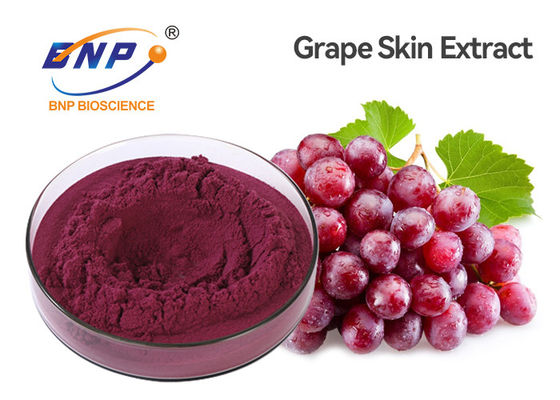 La graine de fruit de raisin de CLHP du Resveratrol 1% extraient la poudre rouge Vitis vinifera