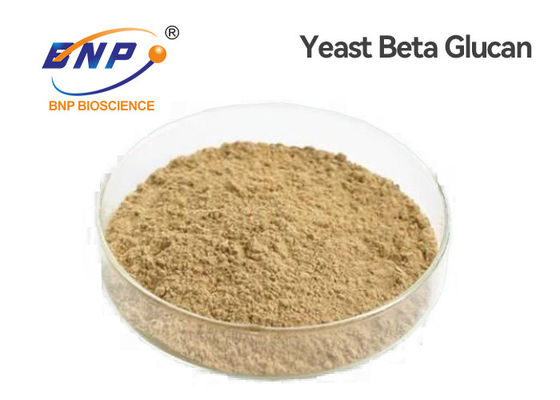 Les polysaccharides jaune-clair de Beta Glucan 80% de levure d'éléments nutritifs naturels saupoudrent le GMP
