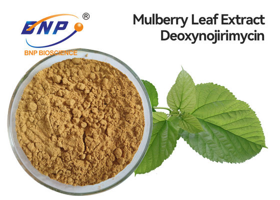La santé complète l'extrait naturel Deoxynojirimycin de feuille de mûre de 5% DNJ