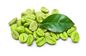 Catégorie comestible verte de Bean Extract Chlorogenic Acid 50% de café