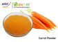 Carotte organique Juice Powder de supplément végétal de poudre de fruits secs bonne