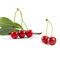Acerola anti-vieillissement de haute qualité Cherry Extract Powder de vitamine C de 17%
