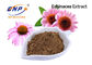 Catégorie comestible du polyphénol 4% d'extrait de Purpurea d'Echinacea