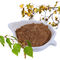 Extrait pur d'écorce d'arbre de bouleau d'extrait de Betulin d'écorce de bouleau de Natrual