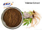 Approvisionnement 100% Valerian Extract acide valérique naturel d'usine
