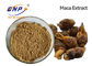 L'usine naturelle de Meyenii de Lepidium extrait la poudre organique brun clair de racine de Maca