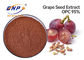 Nigra L. de Sambucus des polyphénols 70% de poudre d'extrait de peau de raisin de CLHP.