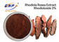 La racine anti-vieillissement de Rhodiola Rosea saupoudrent l'extrait 3% de Rhodiola Crenulata