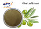 L'usine naturelle jaune de Brown de CLHP extrait l'oleuropéine 60% Olive Leaf Extract Powder