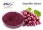 Resveratrol 5% de CLHP de poudre d'extrait de graine Vitis vinifera de raisin rouge