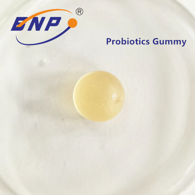 Sucrerie gommeuse Probiotic Probiotics Gummies pour la santé digestive