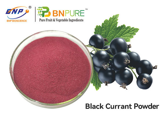Extrait rouge pourpre de fruit de Juice Powder Food Grade Ribes Nigrum de cassis