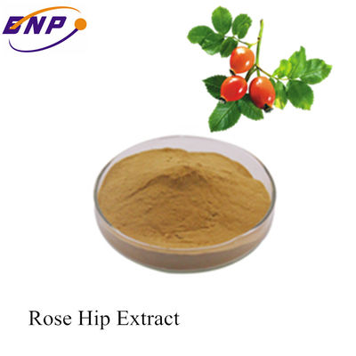 Le meilleur approvisionnement Rose Hip Extract With Vitamin C /Polyphneol des prix d'usine de BNP