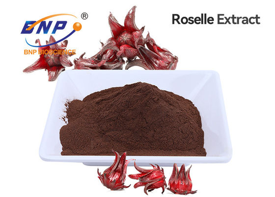Poudre rouge de Roselle Extract Anthocyanins Brown