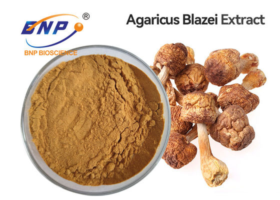 Agaricus organique Blazei Murill de poudre d'extrait de champignon de supplément de soins de santé