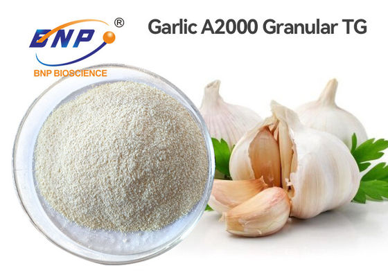 Poudre organique granulaire d'extrait de l'ail A2000 dans le domaine pharmaceutique