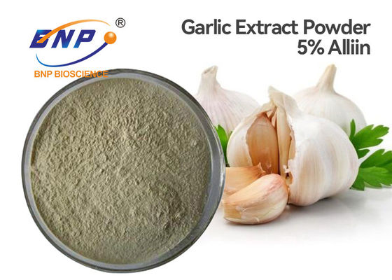 Poudre blanche antibactérienne de l'extrait 5% Allicin d'ampoule d'alium sativum de GMP