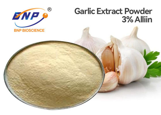 Alium sativum L. Garlic Extract saupoudrent la poudre fine de 3% Allicin