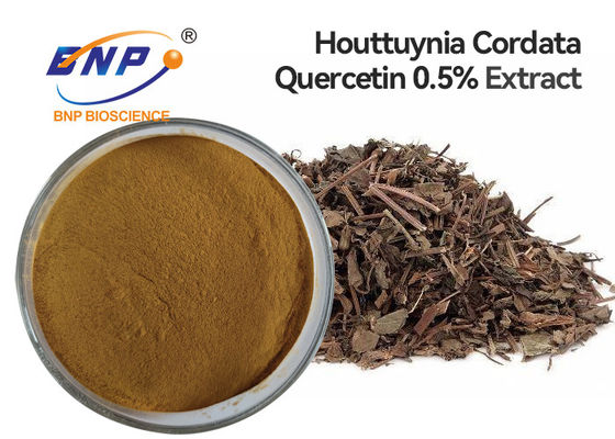 Quercétine de haute qualité d'extrait de Houttuyniae de herba de poudre d'extrait de Cordata de Houttuynia