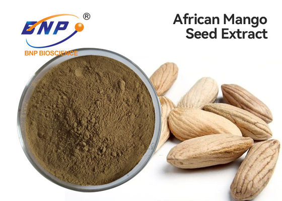 L'usine naturelle des flavones 10% extrait la poudre africaine jaune de graine de mangue de Brown