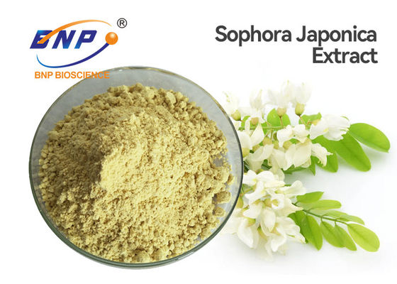 Le cognassier du Japon jaune de Sophora extrait la poudre de dihydrate de quercétine de catégorie comestible de poudre