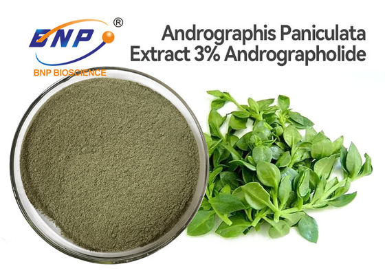 Poudre antivirale naturelle d'extrait de feuille d'Andrographis Paniculata de suppléments de 3% Andrographolide