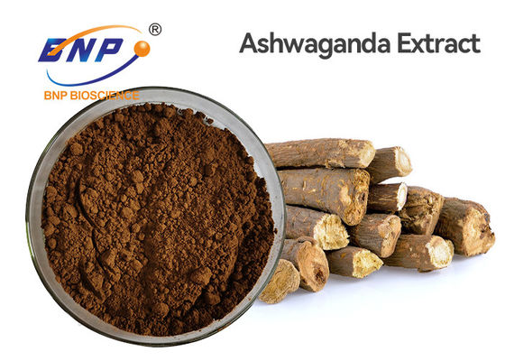 Racine naturelle d'Ashwagandha Withania Somnifera d'extraits d'usine de Withanolides 1,5%