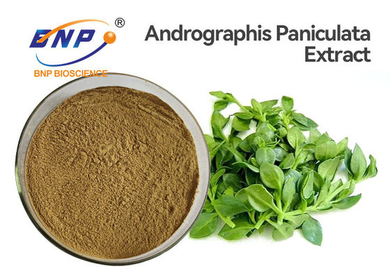 L'extrait antiviral d'Andrographis Paniculata saupoudrent la CLHP de 50% Andrographolide