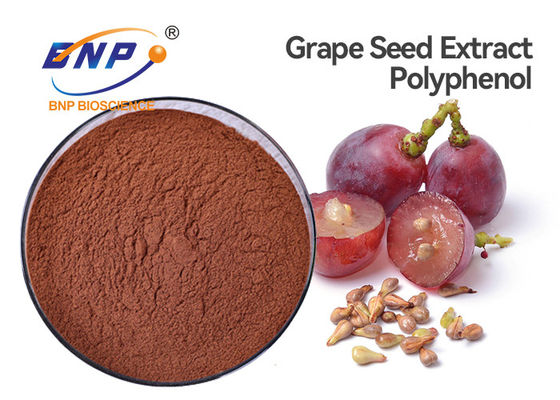 Polyphénol antioxydant 70% de supplément d'extrait de graine de raisin