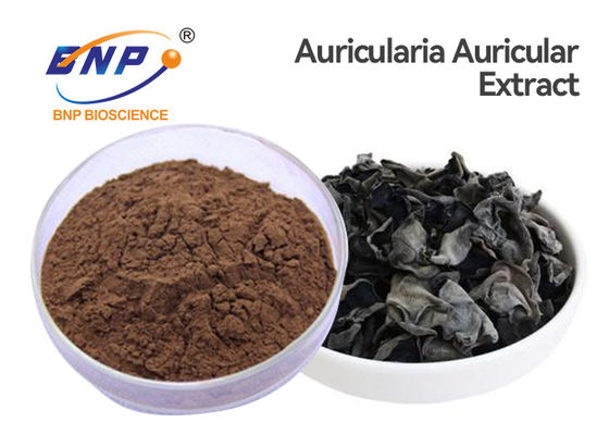 L'extrait naturel de champignon de 100% saupoudrent l'auricule d'Auricularia de l'oreille du juif