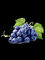 Extrait Vitis vinifera Proanthocyanidins 95% de graine de raisin sec