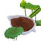 Perte de poids Nuciferin 2%, 98% Lotus Leaf Extract de la BNP