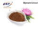 L'extrait de 30% Silybin 80% Silymarin Silymarin saupoudrent l'extrait de chardon de lait de GMP pour le foie