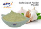 L'extrait inodore d'ail de GMP saupoudrent la marque de BNP de 4% Allicin