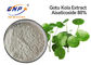 Extrait asiatica d'Asiaticoside 80% Centella pour la peau Gotu blanc Kola Extract Powder