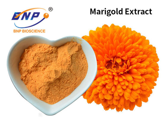 Additif jaune de colorant de lutéine de la poudre 10%~80% d'extrait de souci Tagetes Erecta L.