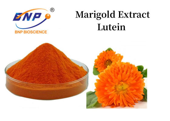 Poudre de lutéine d'extrait de souci 5% -90% poudre jaune orange